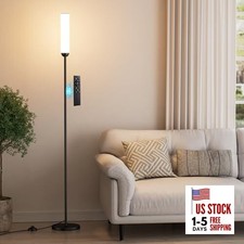  LED Floor Lamp with Remote Control, 65" Standing lamp with 65 inches Black