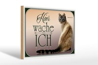 Holzschild Katze 30X20 Cm American Curl Hier Wache Ich Deko Schild Wooden Sign
