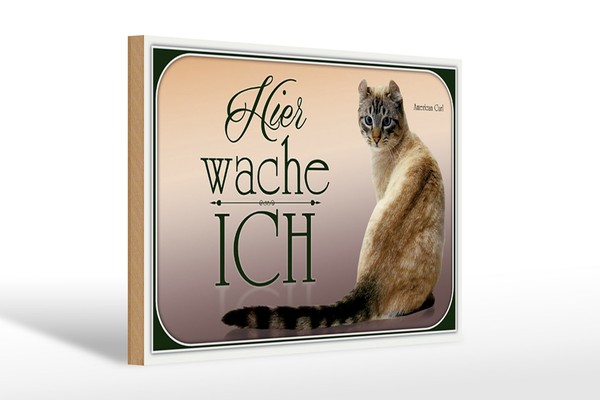 Holzschild Katze 30X20 Cm American Curl Hier Wache Ich Deko Schild Wooden Sign-image