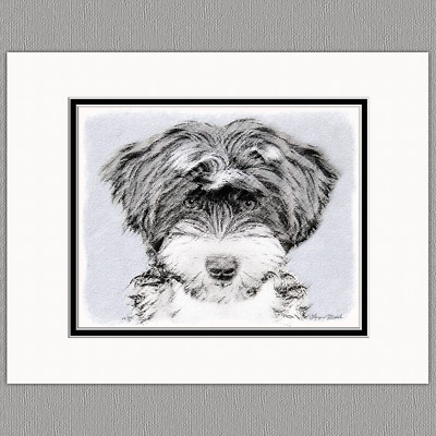 Tibetan Terrier Puppy Dog Original Art Print 8x10 Matted to 11x14