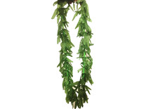 Hawaii Fancy Dress Leaf Garland Necklace Costume Accessory Green Tropical  