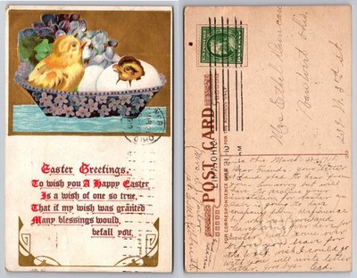 Easter Greetings Chicks Basket Illustration Postcard