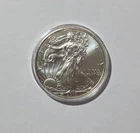 2015 $1 American Eagle 1 oz Silver Dollar Coin Walking Liberty listing #MN