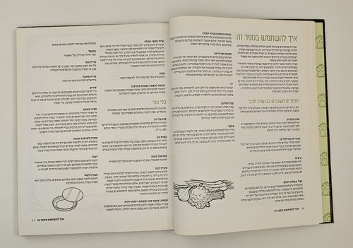 Libro de cocina kosher hebreo COCINA FRANCESA SIN CARNE por FAYE LEVY DE COLE... - Imagen 12 de 24