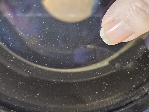 HI-LUX VAL Variable Anamorphic Motion Picture Projection Lenses -set 2 Orig case - Picture 12 of 24