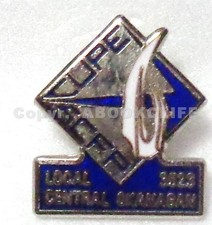 CUPE LOCAL 3523 CENTRAL OKANAGAN BRITISH COLUMBIA Lapel Pin 