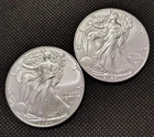 Lot Of 2-2024 American Silver Eagles Real And Perfect Free Shipping Look👍