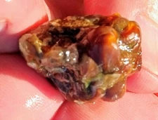 Vintage 1970s Deer Creek Arizona Fire Agate Rough 2.5 Ounces