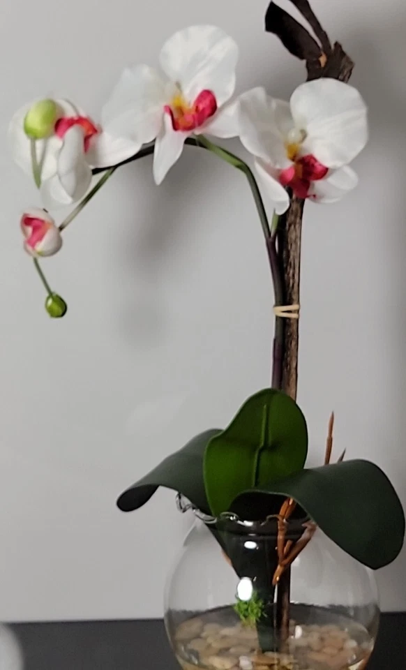 Mini Phalaenopsis casi natural 1277-WH con florero estriado arreglos florales de seda Foto 3 de 4