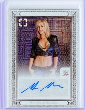 2024 Panini Photogenic WWE MICHELLE MCCOOL Maze Autograph AUTO Signature 13/25