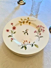 MARTHA STEWART Rare 8 Salad Plates TOSSED SPRIG  Discont/2009 BEAUTIFUL 9 1/8 in
