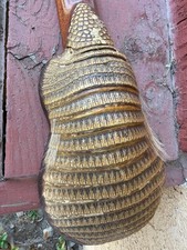 charango with original armadillo sound box