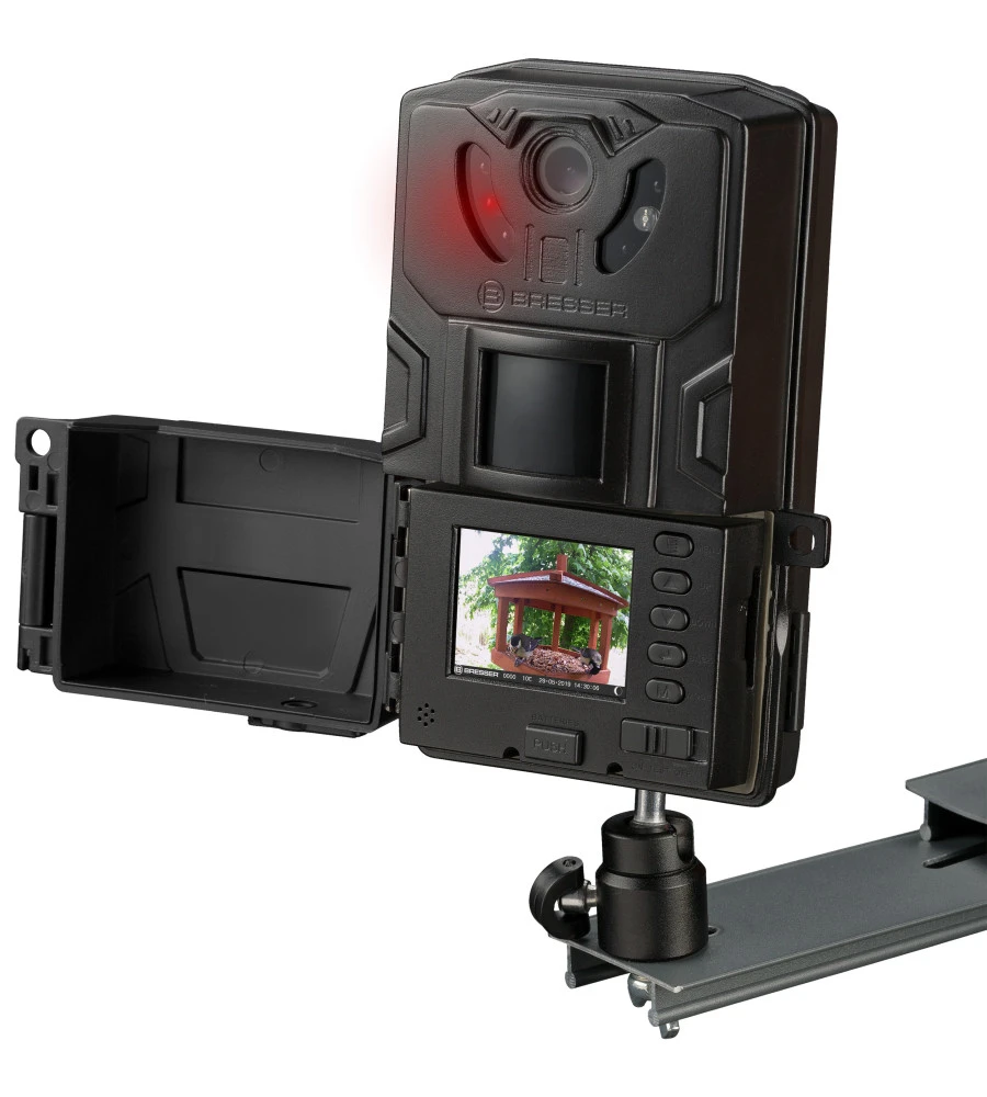 Wildlife Animals Camera Small Bird Monitoring with Motion Detection