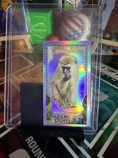 2020 Topps Allen & Ginter Chrome Mini Safari Sights #SSC-9 Vervet Monkey