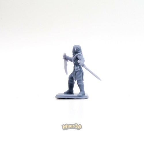 Elf Archer, Mage, Knight - HQ Dungeon Minis3D - Imagen 27 de 30