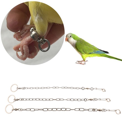 Bird Leash Bird Free Ropes Parrot Flying Training String Hauling Cord ...