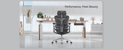 Sihoo Doro C300 - Highly rated Buy It For Life recommendation