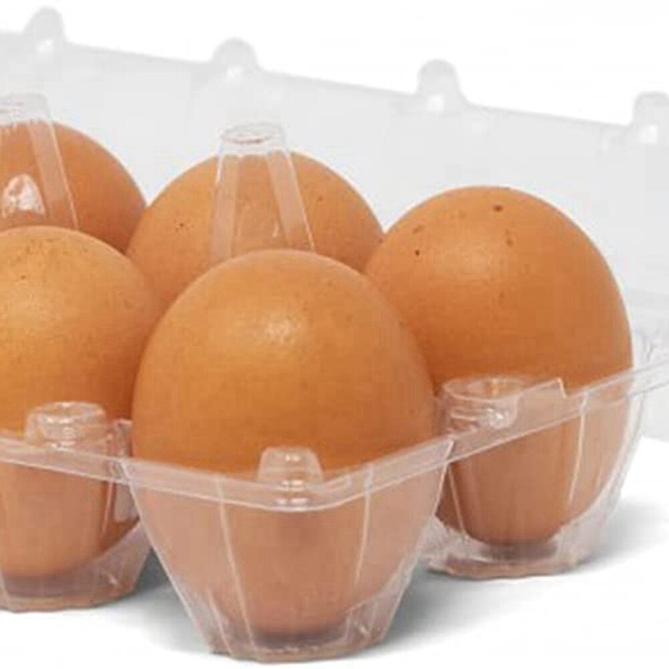 60 Pack Plastic Egg Cartons Cheap Bulk Dozen Clear Empty Egg Cartons