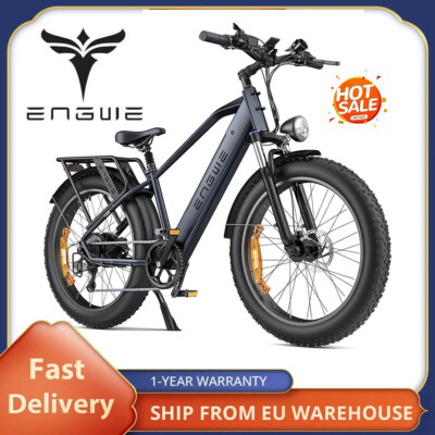 E Bike Elektrofahrrad 26 Zoll E Mountainbike 48V 16Ah Moped Trekking Ebike NEU