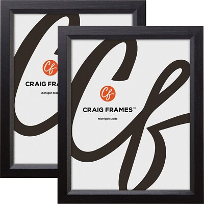 Craig Frames Satin Black Picture Frames, .8'' Wide, Solid Wood, 2-Pack