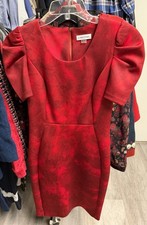 Red Puffy Sleeved Calvin Klein Christmas Dress.
