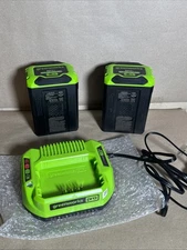Greenworks 60v Two 5.0Ah Batteries And  Charger