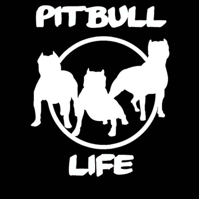 Pitbull Life Pit Bull Vinyl Car Window Decal Sticker Gloss