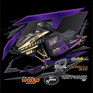 Pelican Racing Parts Ebay Stores