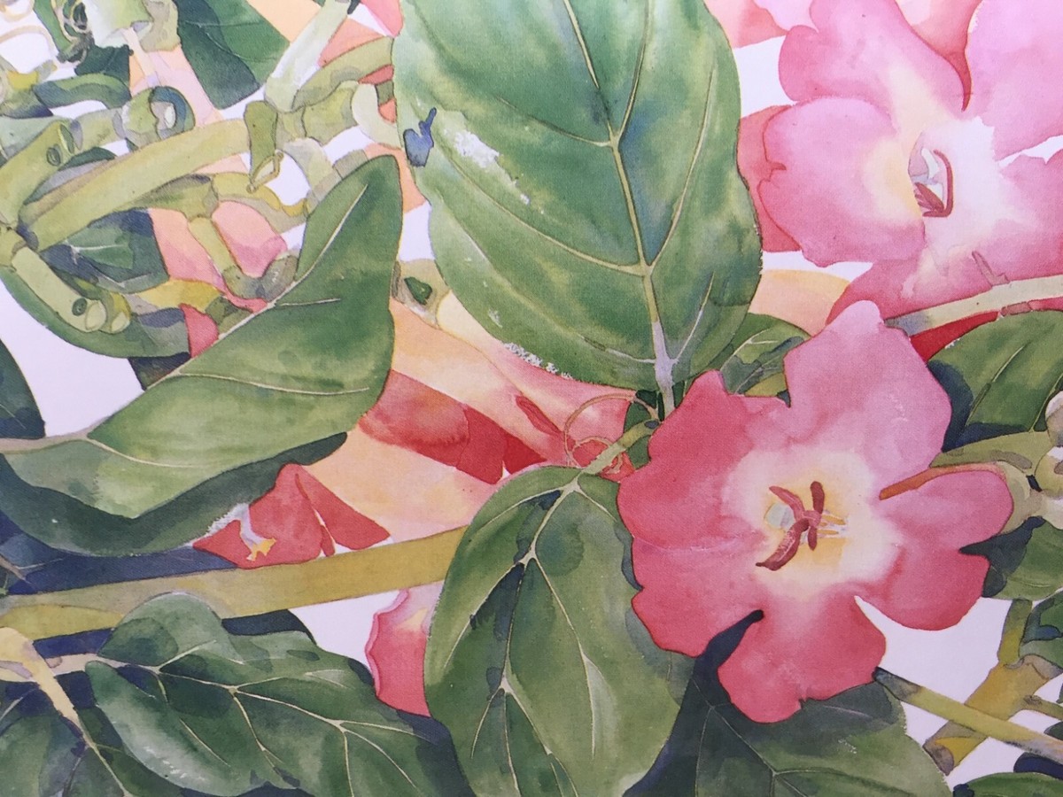 SIGNED - FLOWERS by Gary Bukovnik : Watercolors and Monotypes