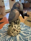 WELLER POTTERY KINGFISHER