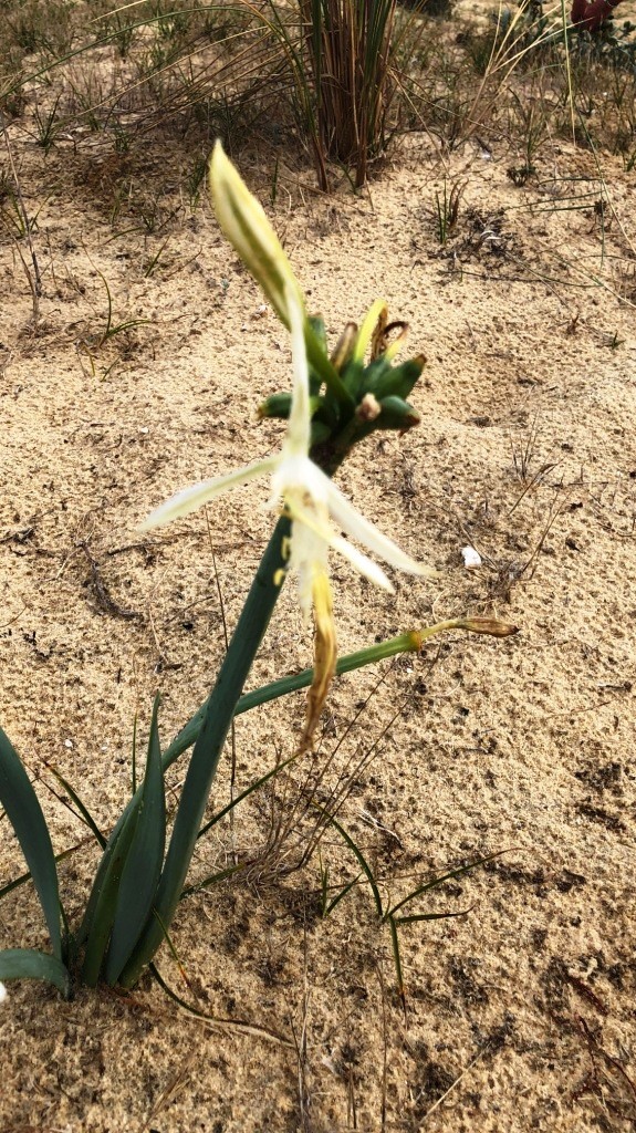 Bild 1 von 3