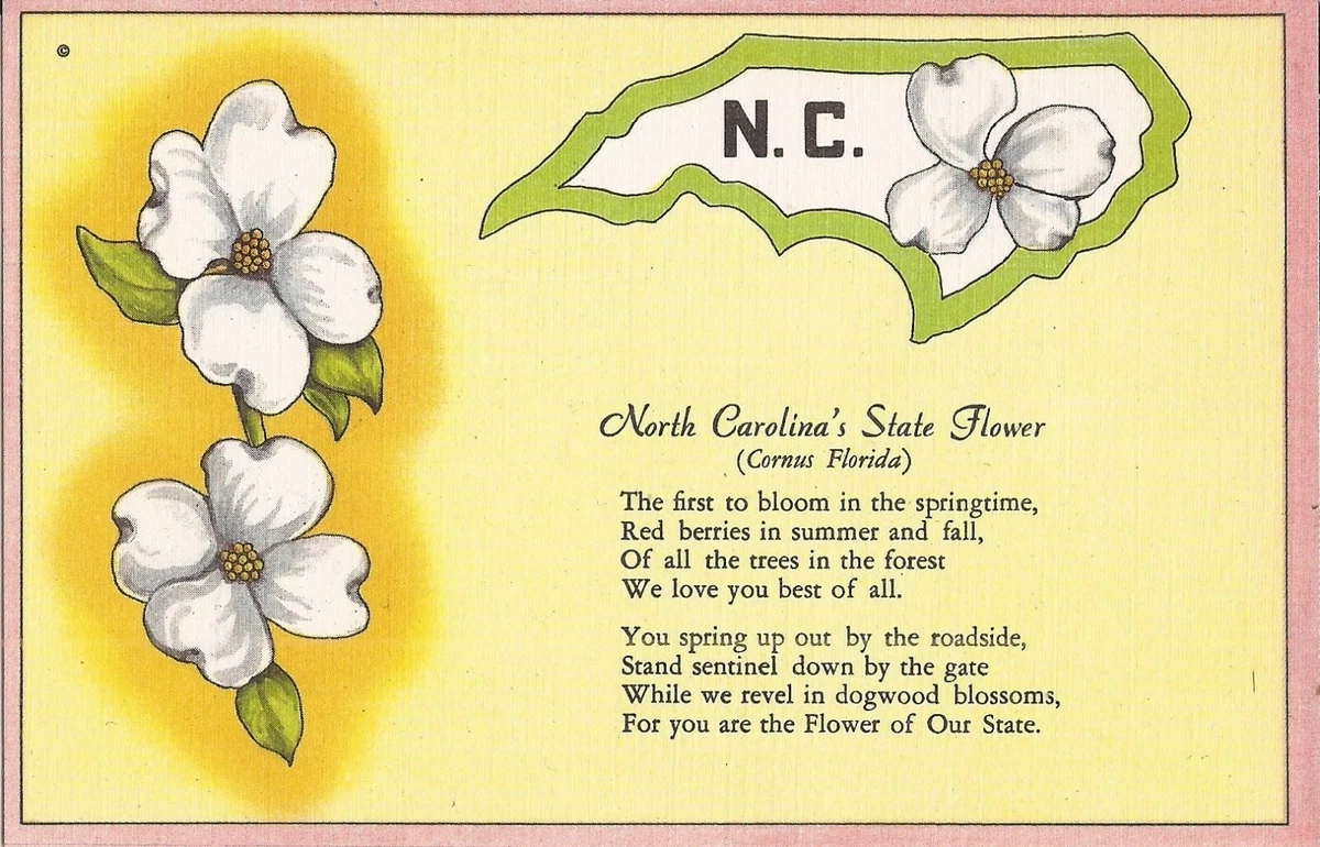 Discover 68+ florida state flower tattoo best