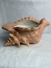 VTG McCoy Pottery Conch Shell Planter Peach Mid Century Nautical 11" USA