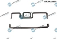 Dr.Motor Automotive Dichtung, SteuergehäUse FüR BMW