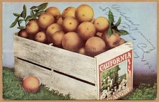 California Box of Oranges Postcard 1920