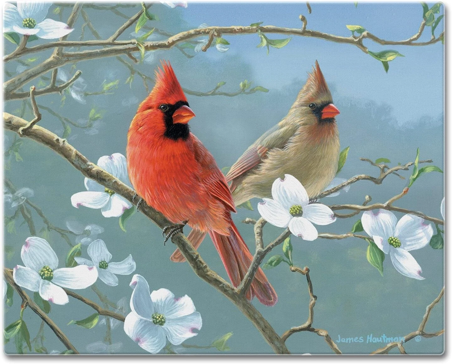Beautiful Songbirds Cardinal Glass Cutting Board 15” x 12" Made In The USA
