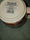 Foto 6 di 6