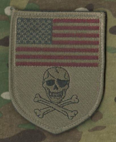 DAESH WHACKER GREEN BERETS SP OPS ADVISORS in MOSUL vêlkrö PATCH: US Flag Skull - Afbeelding 1 van 10