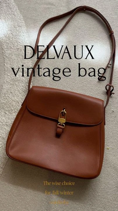 Delvaux shoulder bag Dark Brown Leather Gold Hardware Womne's