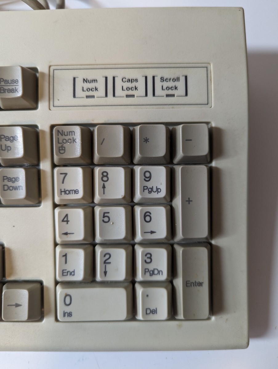 VTG Chicony Electronic Keyboard KB-5911 PS/2 Rubber Dome | eBay