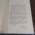 Foto 2 di 8
