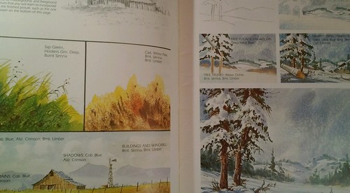 Vintage 1989 Walter Foster 207 Special Effects Water Colors Kolan Peterson RARE VHTF - Bild 4 von 9
