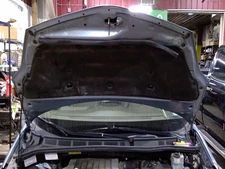 Used Hood fits: 2007 Toyota Sienna  Grade C