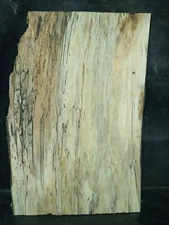 S=489_Thin Spalted Maple Slab 18 1/2" X 10-12 1/2" x 3/8"  knife pistol guitar
