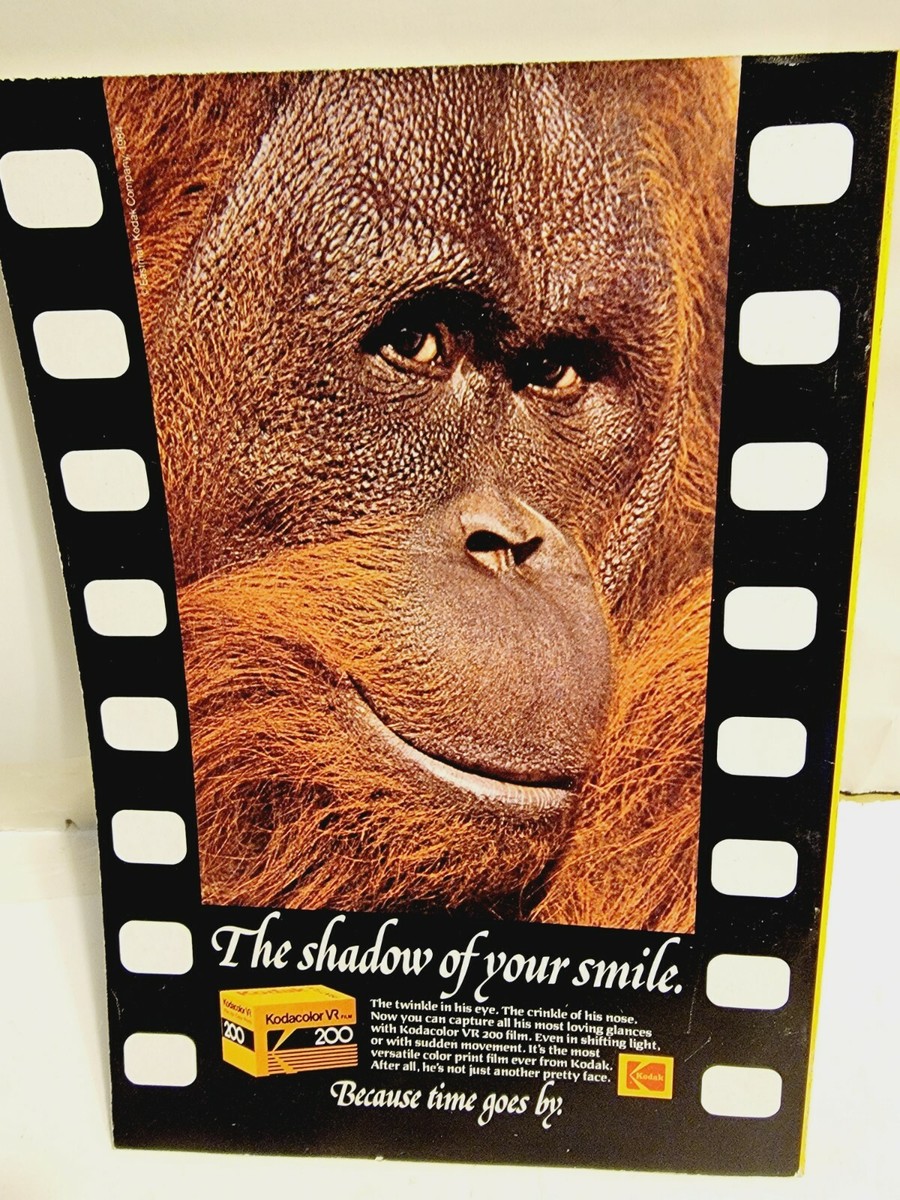 NATIONAL GEOGRAPHIC May 1984 - Pompeii VESUVIUS DEAD - Krill