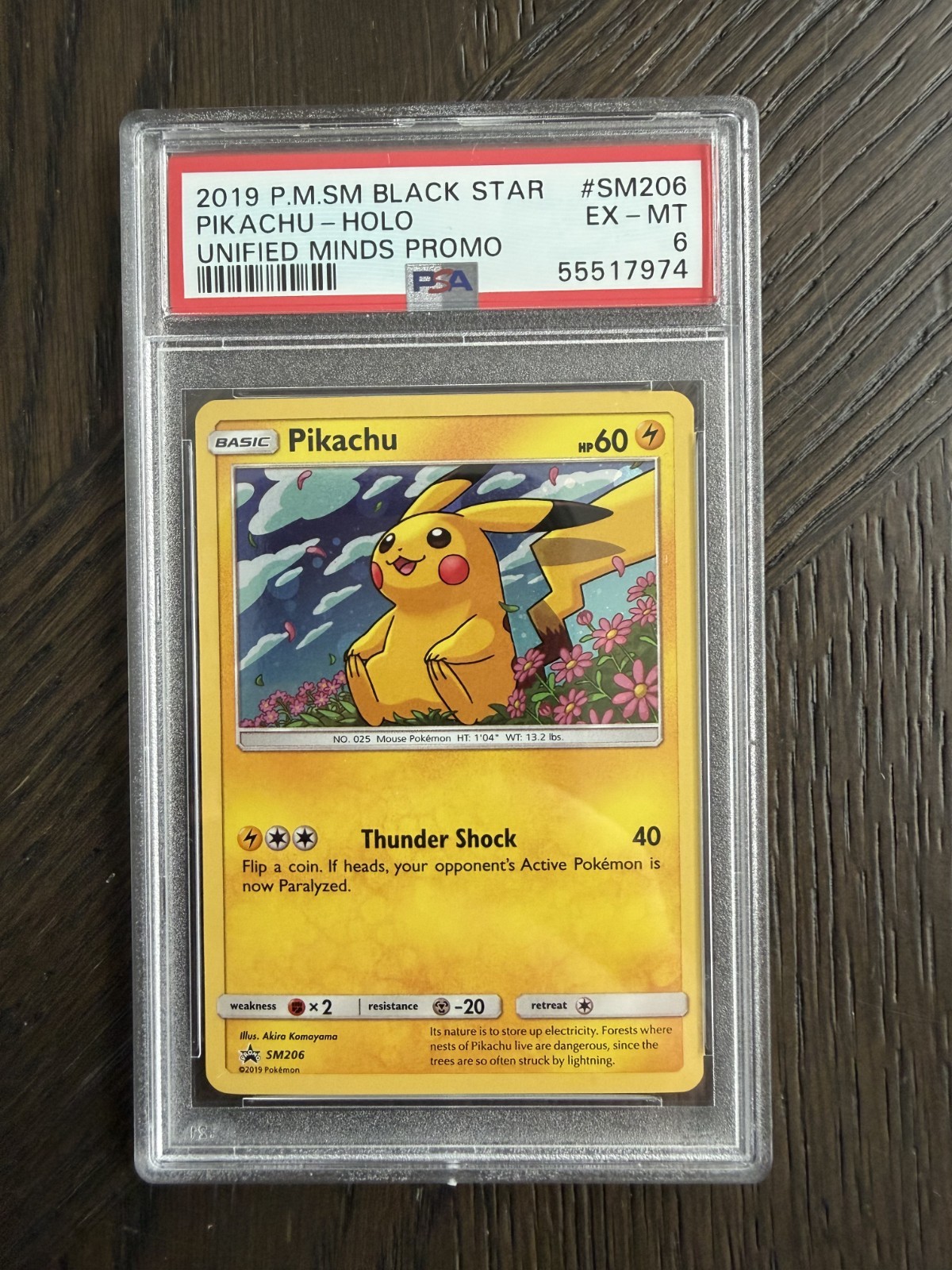 Pikachu SM206 Sun & Moon Promo PSA 6 Pokemon Card
