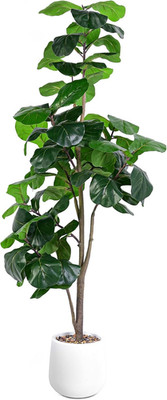 Artificial Fiddle Leaf Tree, 6Ft Faux Plant Fake Ficus Lyrata Trees with White P