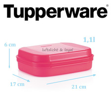 Tupperware kleines Naschkätzchen®  1,1 l pink Behälter Box Apollo Bellevue A01