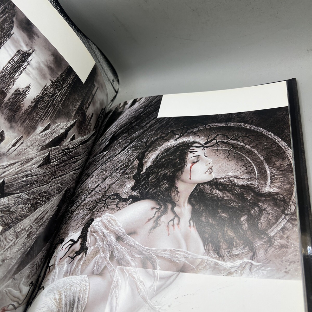 VISIONS / ルイス・ロヨ Luis Royo VISIONS / ルイス・ロヨ Luis Royo LUIS ROYO SUBVERSIVE BEAUTY