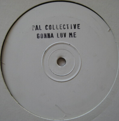 Pal Collective Gonna Luv Me Vinyl Single 12inch Basement 282